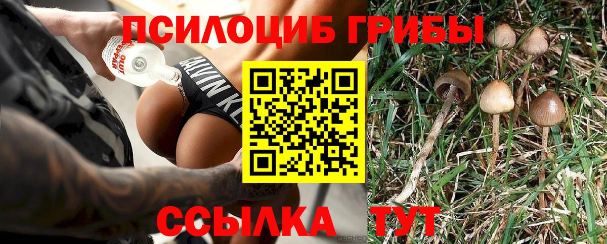 Оренбург  Псилоцибиновые грибы Magic Shrooms  Вход с VPN 